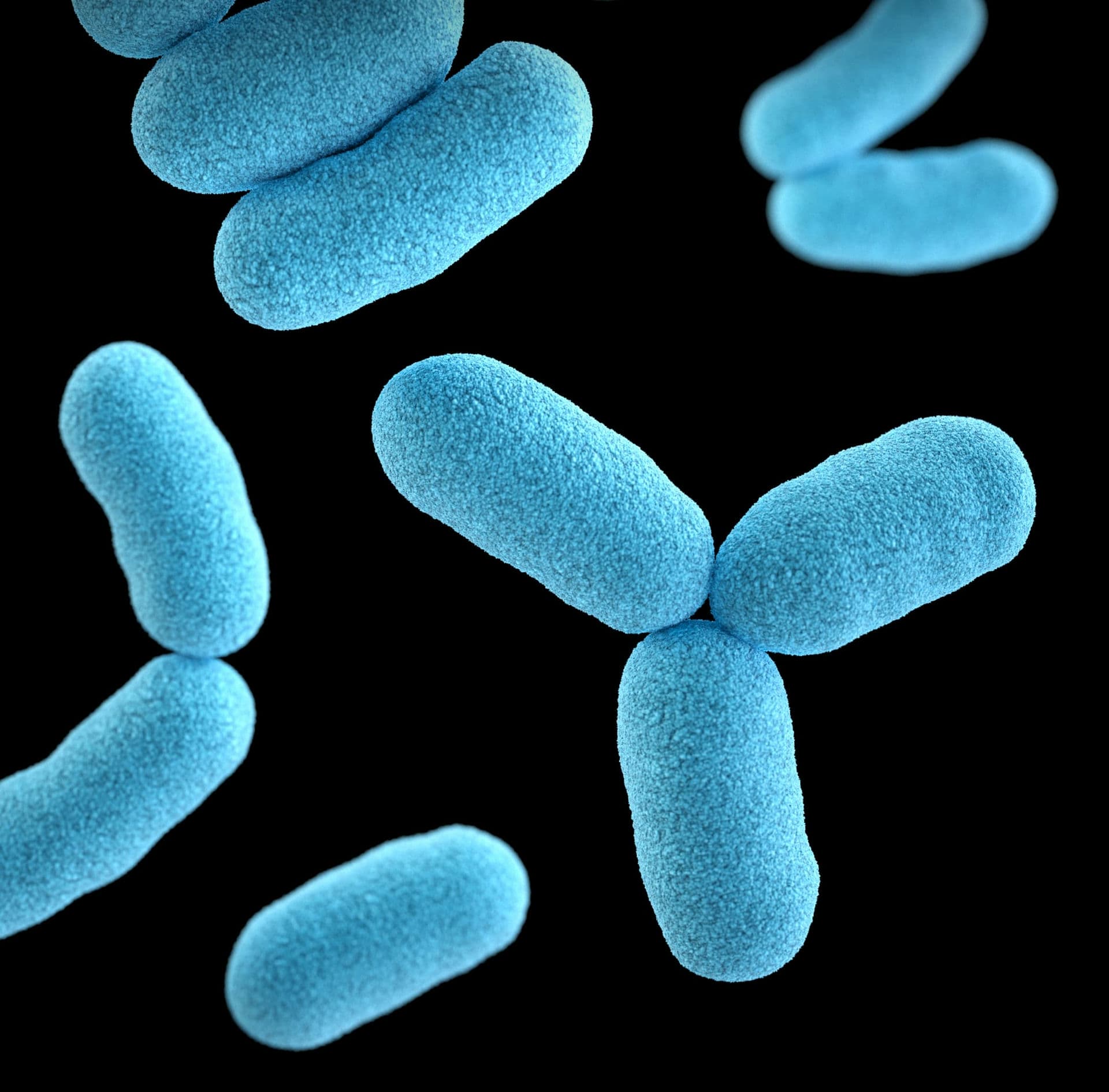 Mikrobakterien